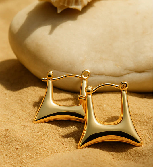 Purse Golden Hoop Earring
